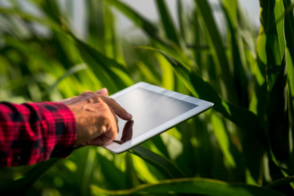 ingenieros agronomos en alicante